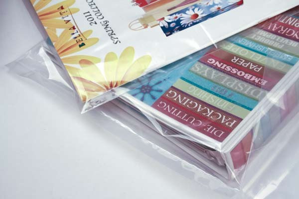 Plastic Bags 7.6x20.3cm LDPE 40 micron (100 pieces) [PE1H38]