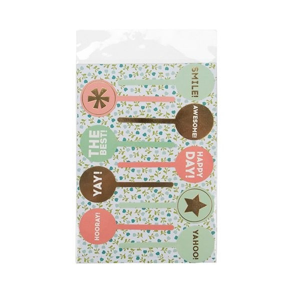 Plastic Bags 15.3x22.9cm Transparent Peel and Seal (100 pieces) [B6X9SPC]