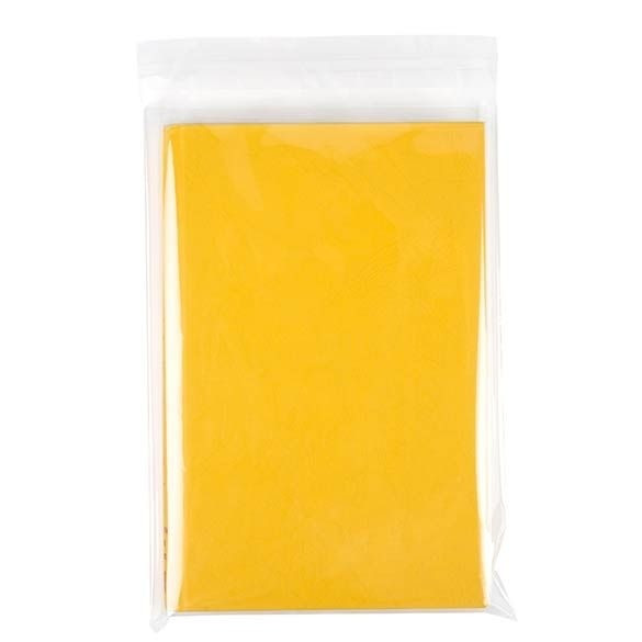 Plastic Bags 18x26cm Transparent Peel and Seal (100 pieces) [B710]