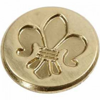 Coin, D: 18 mm, 1 pc [HOB-27014]
