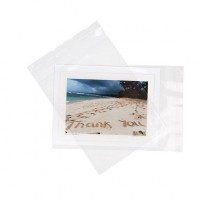 Plastic Bags 15.9x20.7cm Transparent Peel and Seal (100 pieces) [B86S]