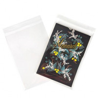 Plastic Bags 20.5x28.5cm Transparent Peel and Seal (100 pieces) [B8X11]