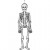 Skeleton, H: 120 cm, 300 g, 1 pc, white [HOB-23592]