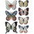 3D Stickers, size 26-48 mm, asstd colours, butterfly, 7pcs [HOB-27009]