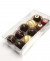 Plastic Gift Boxes for "chocolate" Truffels 10.8x4.1x21.6cm with Insert (100 pieces) [CNDY193]