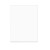 Plastic Bags 62.1x77cm Transparent (100 pieces) [B2430NF]