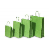 Paper Carrier Bags Green 22+10x31cm Kraft 90 grams (50 pieces) [PAM2231GR]