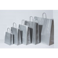 Paper Carrier Bags Silver 22+10x31cm Kraft 90 grams (50 pieces) [PAM2231SI]