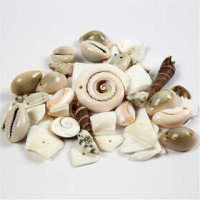Beach Shells, size 9-40 mm, hole size 1-1,5 mm, 120g