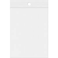 Grip Seal Bags with Hang hole 33x33cm Crystal Clear PP 100 micron (100 pieces) [Z4R1313]